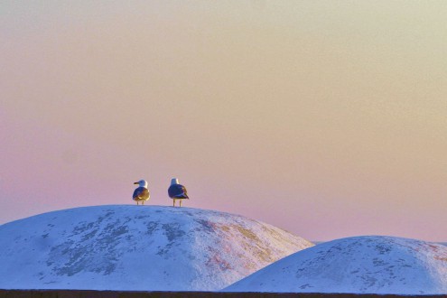 Isola di Pantelleria, tutto inizia qui!