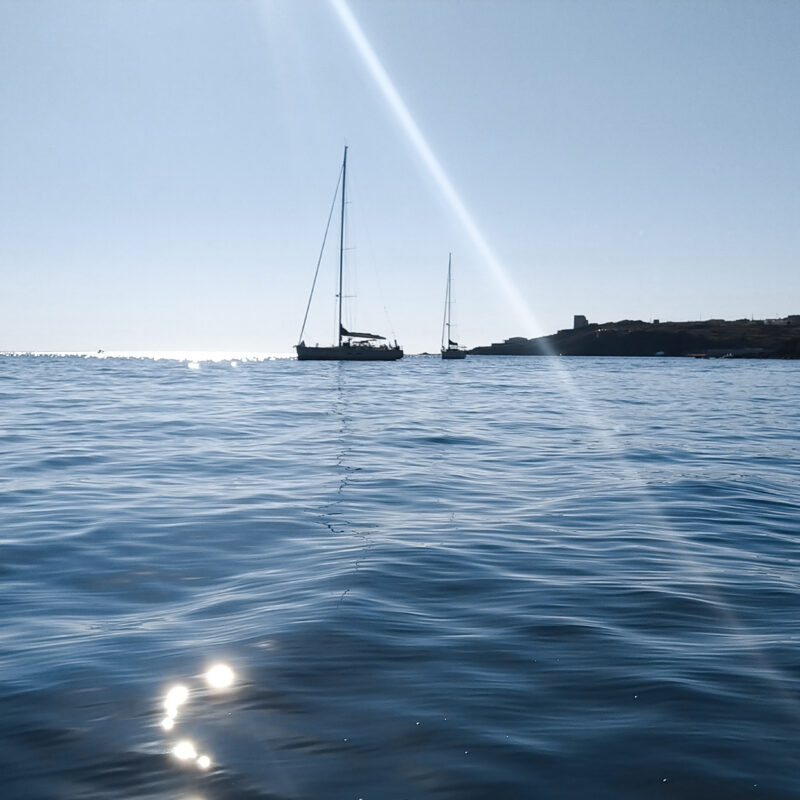 FACCIO COSE E VEDO GENTE