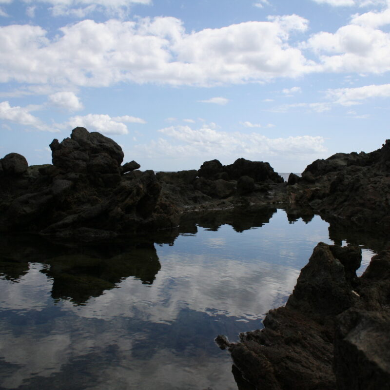 Evviva la liberta’