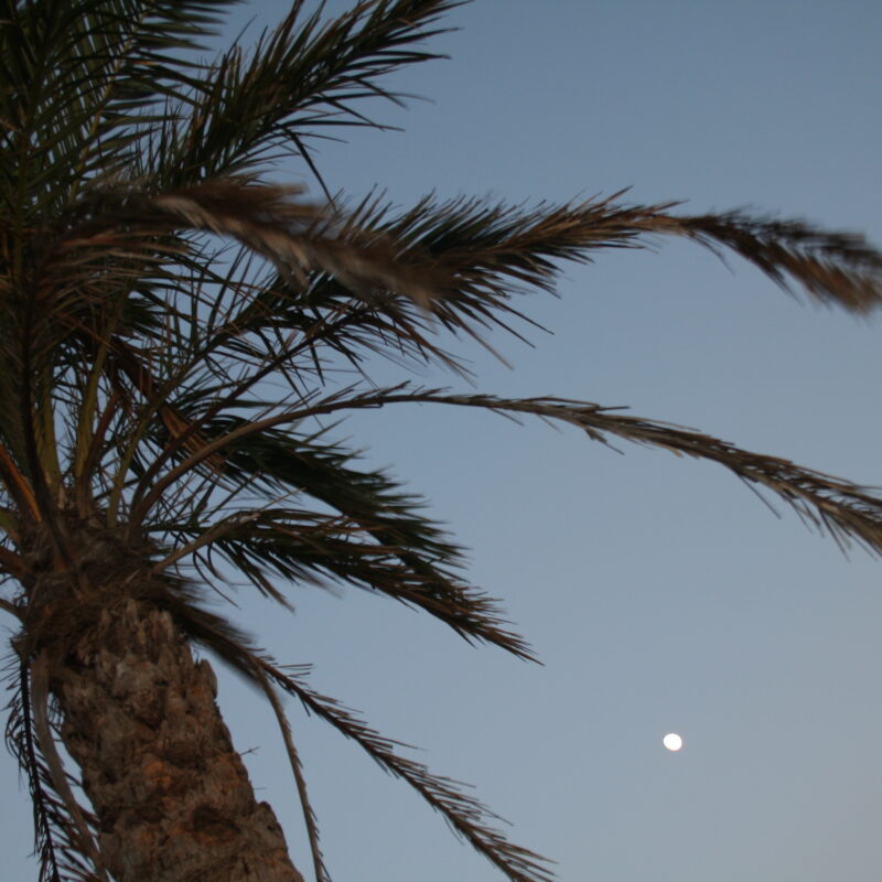 Pantelleria e i suoi venti