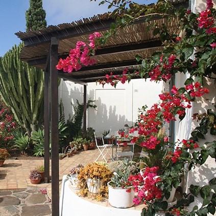 Piccola serenata diurna