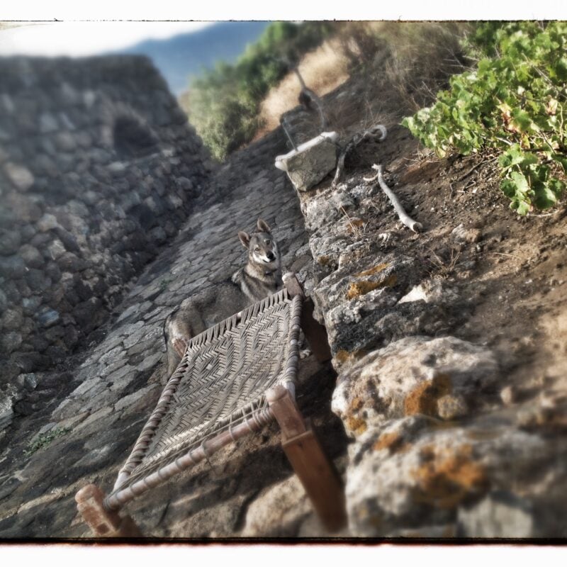 Pantelleria è il mio mestiere