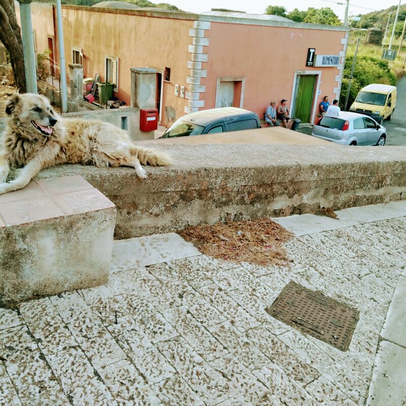 Pantelleria, a raccontarla non ci si crede