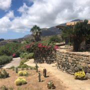 dammuso_cuddia_giardino