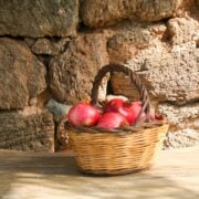 dammuso martin vivavio pantelleria