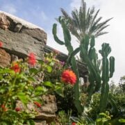 dammuso martin vivavio pantelleria