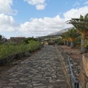 dammuso_oleandro_viale