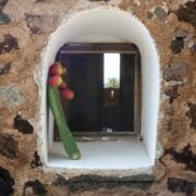 dammuso euphorbia pantelleria