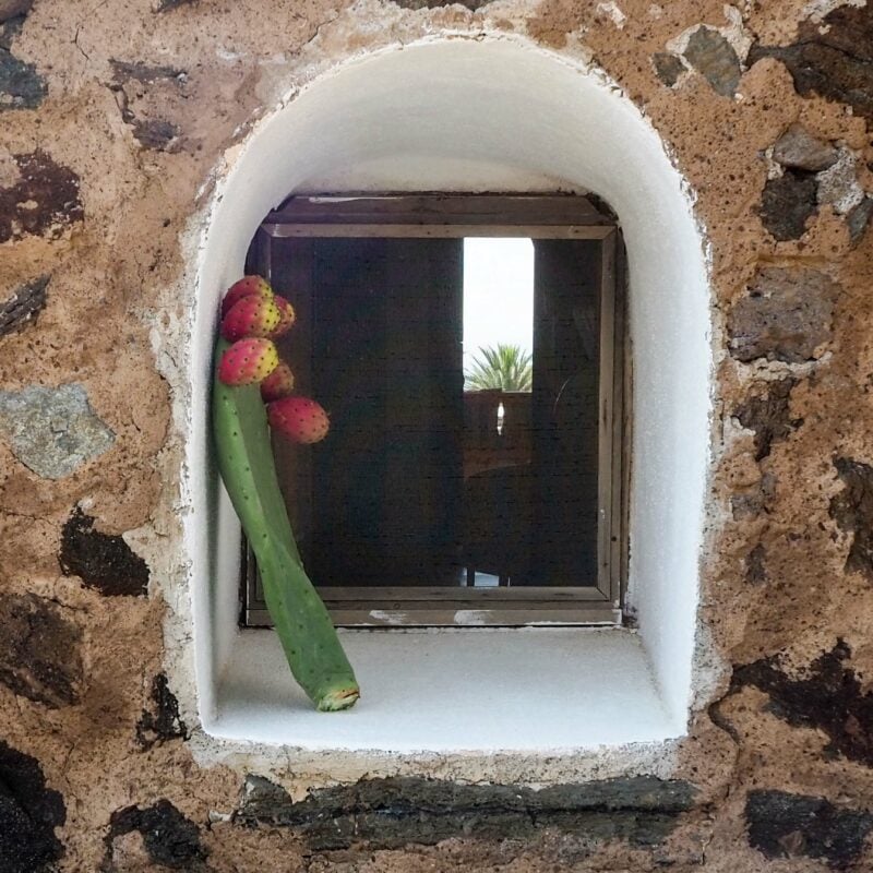 dammuso euphorbia pantelleria