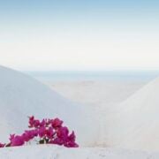 zighidi15-1