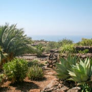 dammusi pantelleria