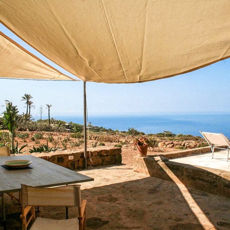 Vuoi sposarmi, aloe?