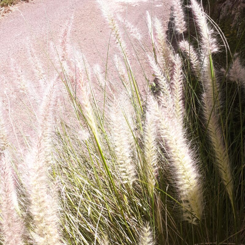 Quando un’attesa diventa un’opportunità