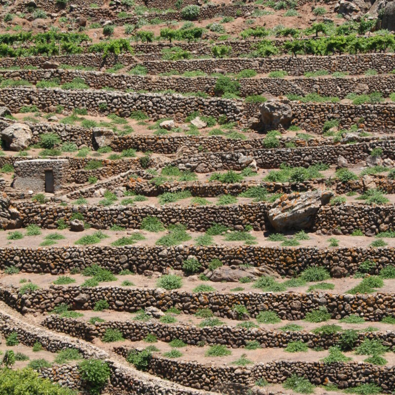 Pantelleria, un giardino a cielo aperto