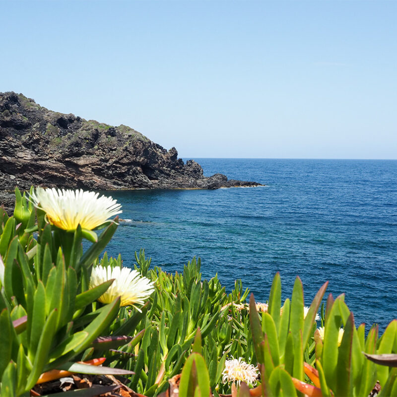 Pantelleria, una vacanza a maggio