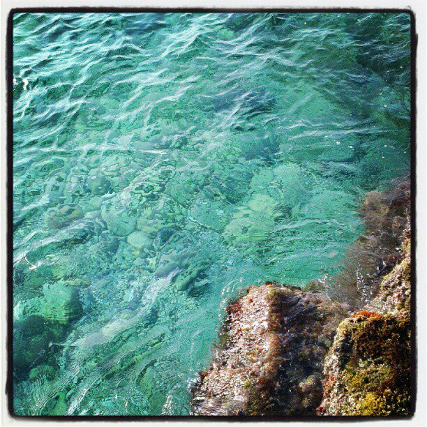 La mutina senza l’acca