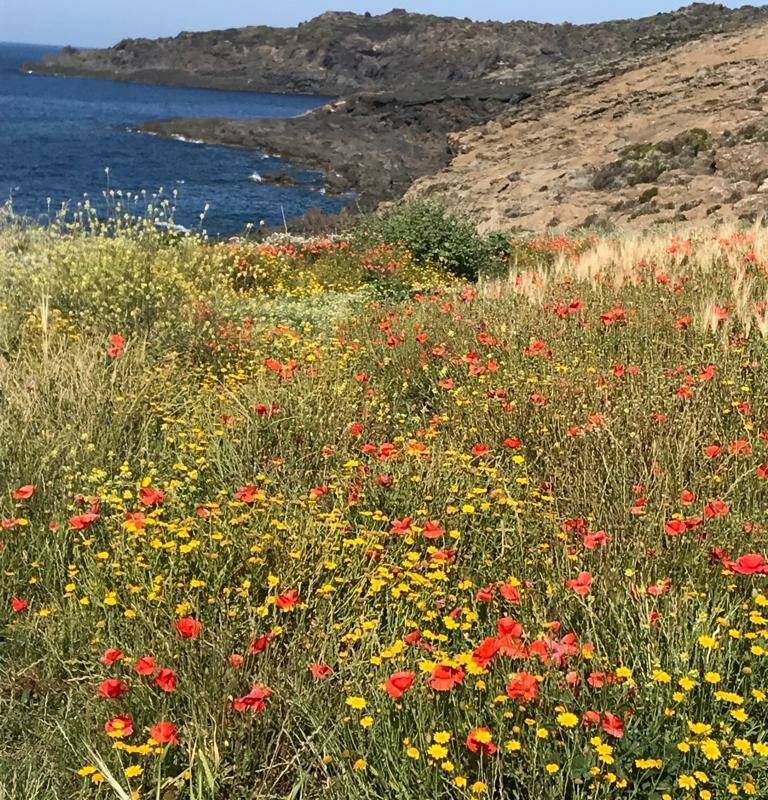 Ma a Pantelleria l’ombrellone serve?