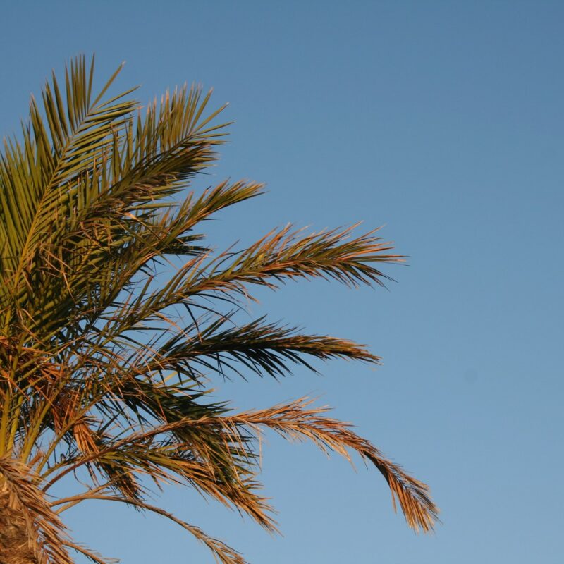 La sig.ra Rosa dei Venti