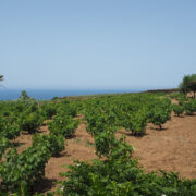 dammuso scirafi pantelleria