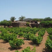 dammuso scirafi pantelleria