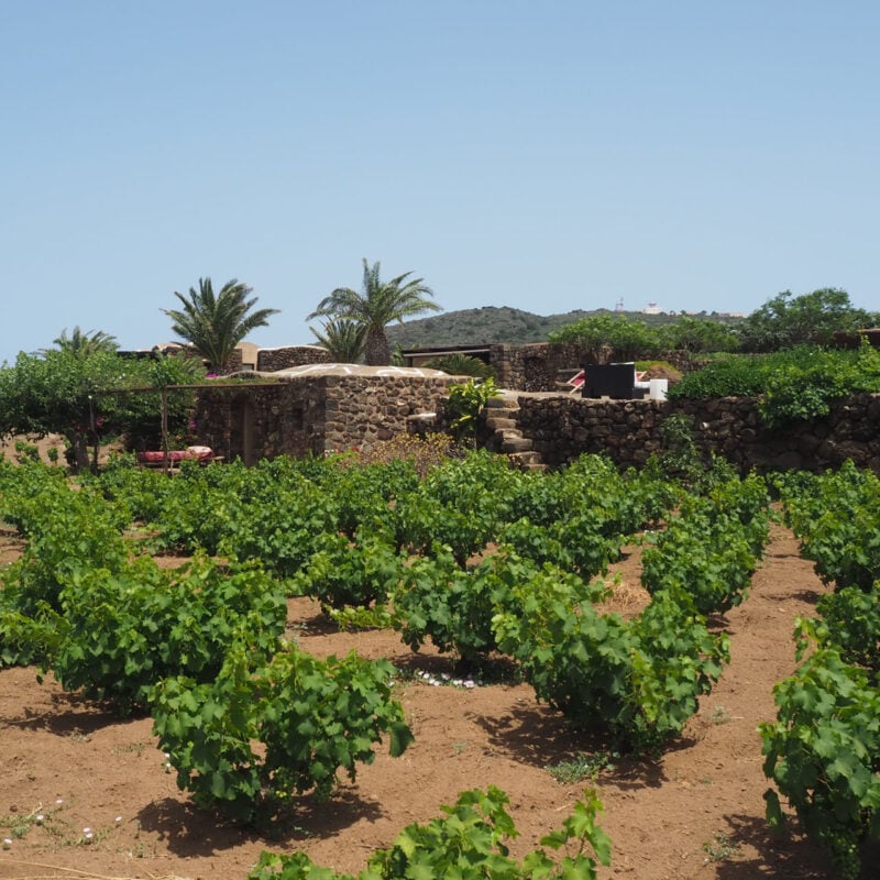 dammuso scirafi pantelleria