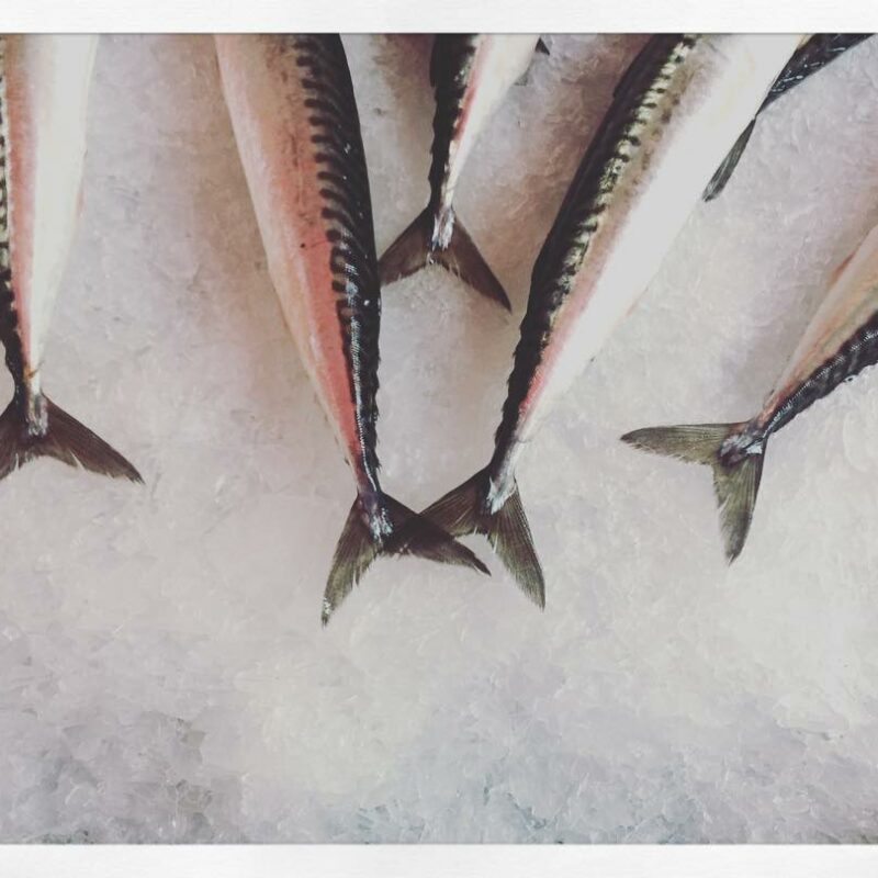 Alessandro e Alessandra e una terrazza di bontà’