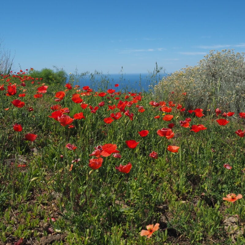 I fratelli benzinai di Pantelleria