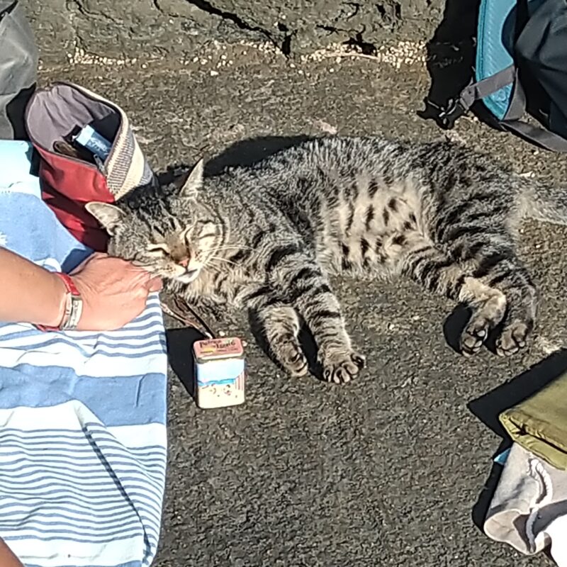 Pantelleria ha fatto la Rivoluzione