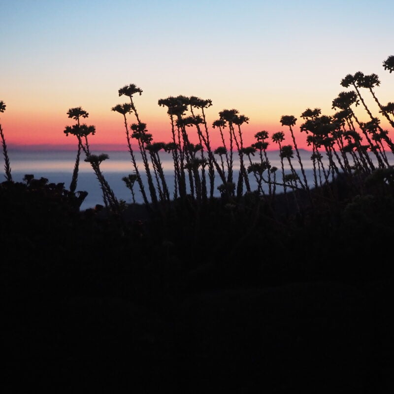 Ossidiana, un dono antico