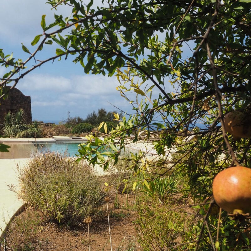 dammuso bukkuram pantelleria