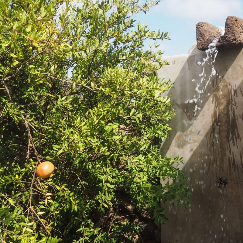 dammuso bukkuram pantelleria