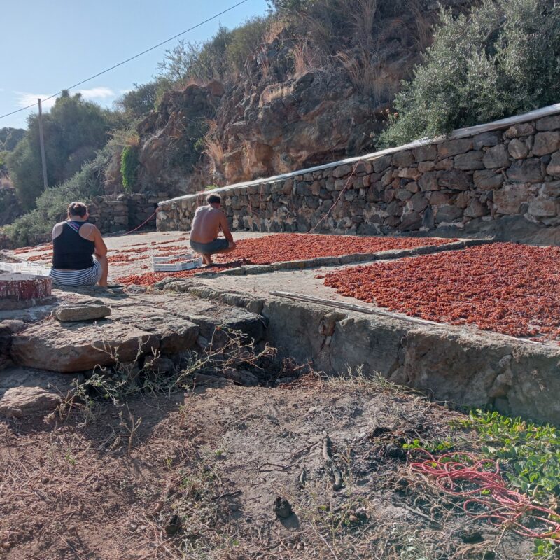 Cala Nikà e l’uva passa, io un po’ meno