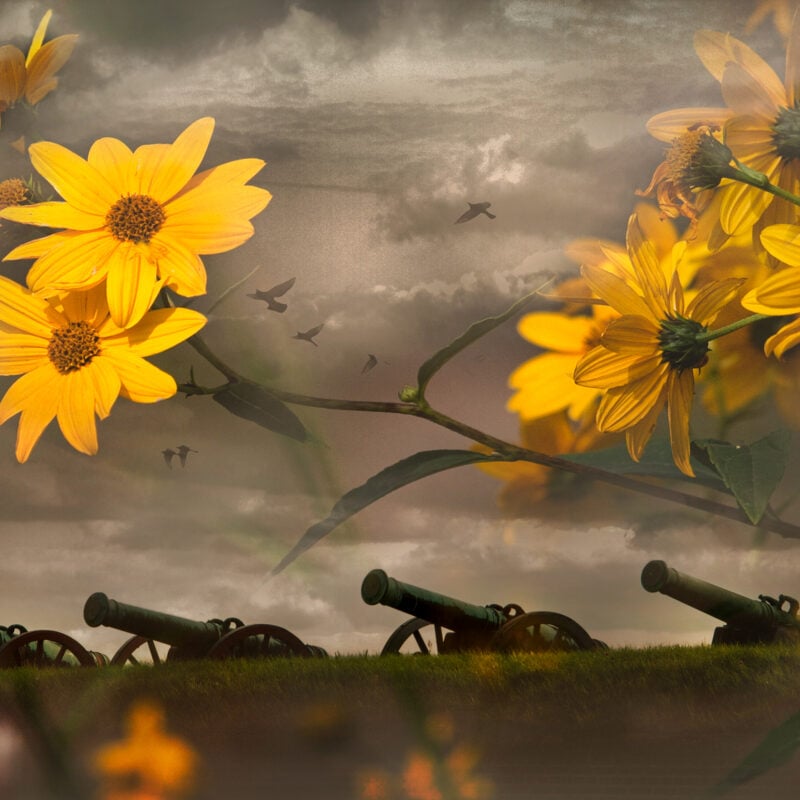 Pantelleria e l’Operazione Cavatappi