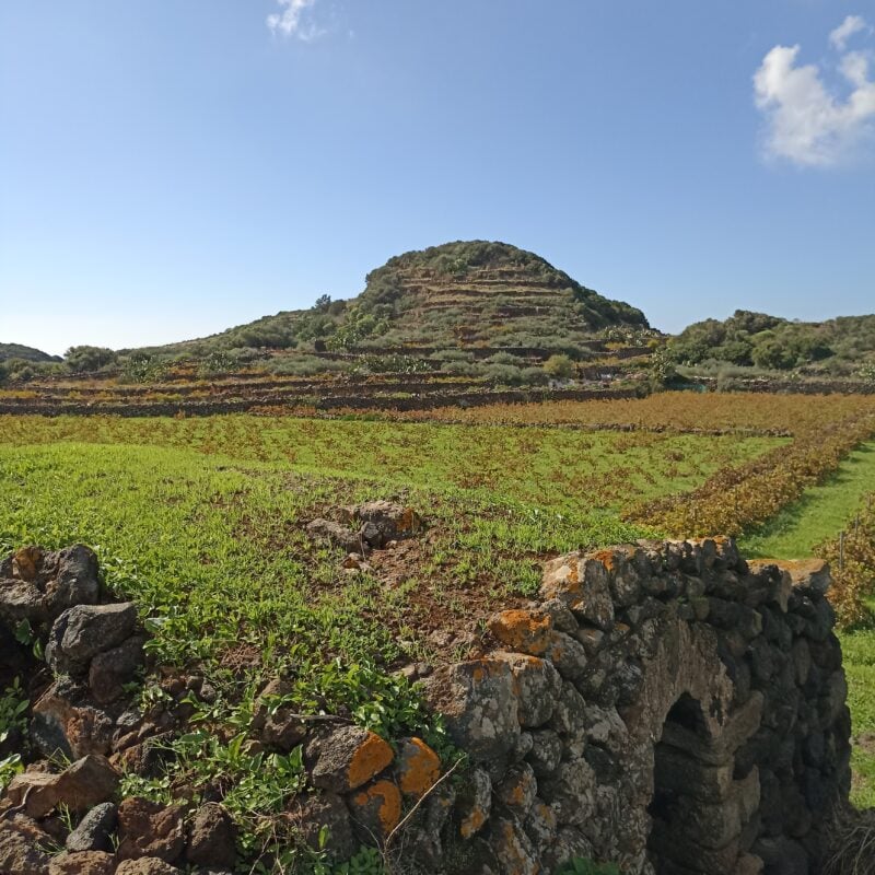 Pantelleria, se fosse…
