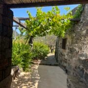 dammuso venere pantelleria_13