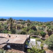 dammuso martin vivaio pantelleria