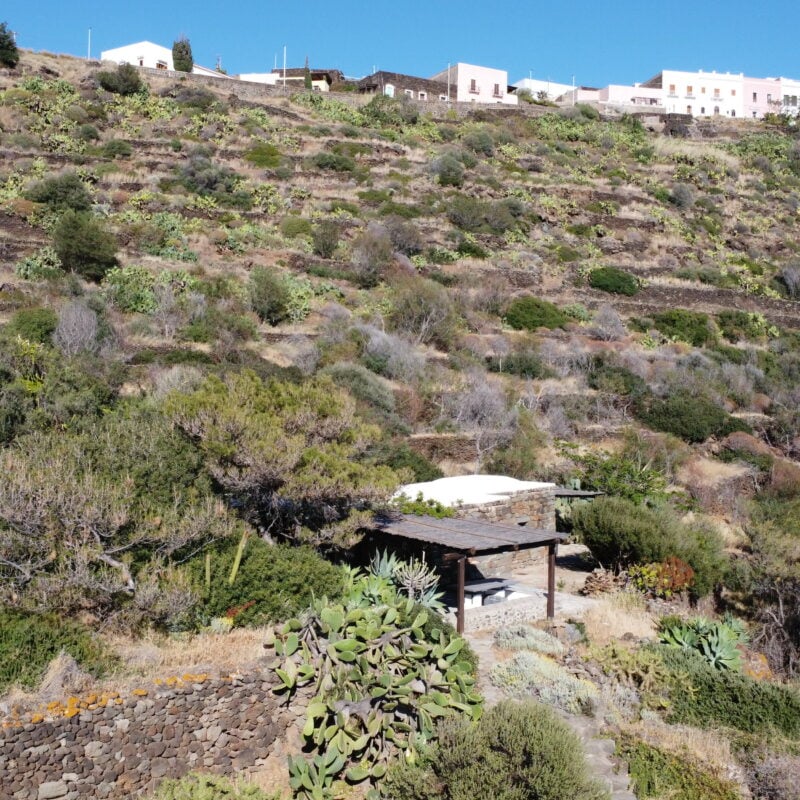 Il fascino di Pantelleria d’estate: fresche mattine e caldi pomeriggi