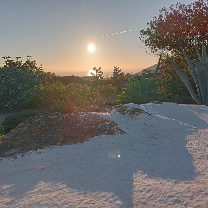 L’incanto di un duetto di upupe: un pomeriggio di connessione con la natura a Pantelleria