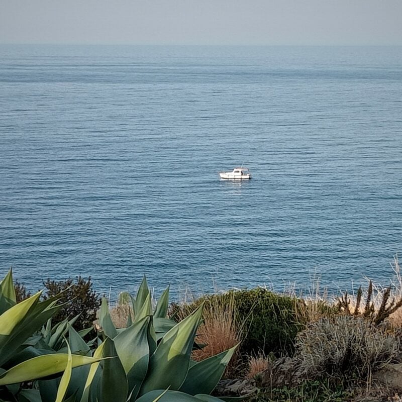Viaggio tra memoria e sapori: dalle Madonie a Pantelleria, un ritorno alle radici