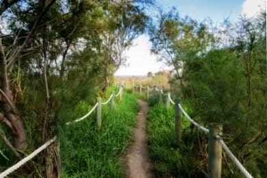 Pantelleria, l’isola che dona figli al vento