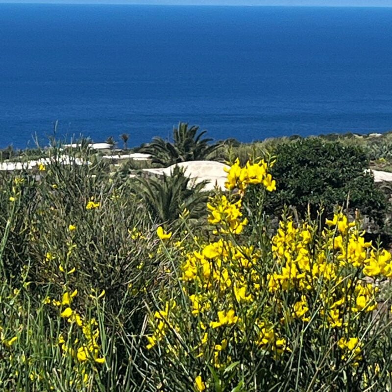 Pantelleria, giustizia a corpo nudo