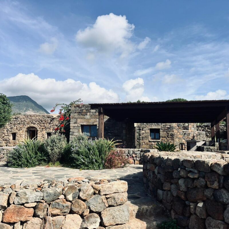 dammuso ficus pantelleria